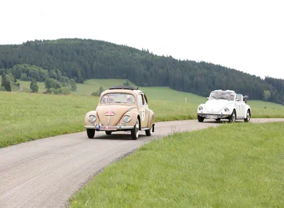 Two Volkswagen Beetles on the road with a green landscape in the background