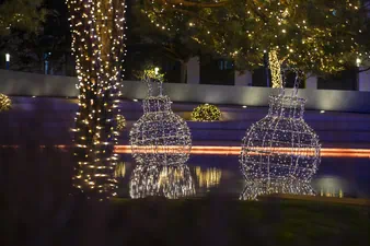 Galerie Foto