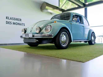 Galerie Foto